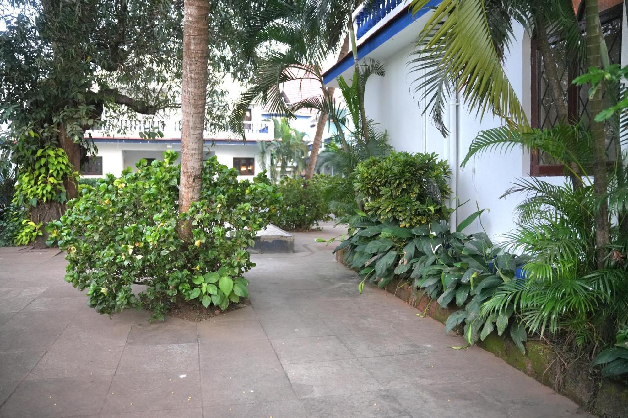 Gr - Duplex 3bhk With Pool I Baga 5 Mins Villa Arpora