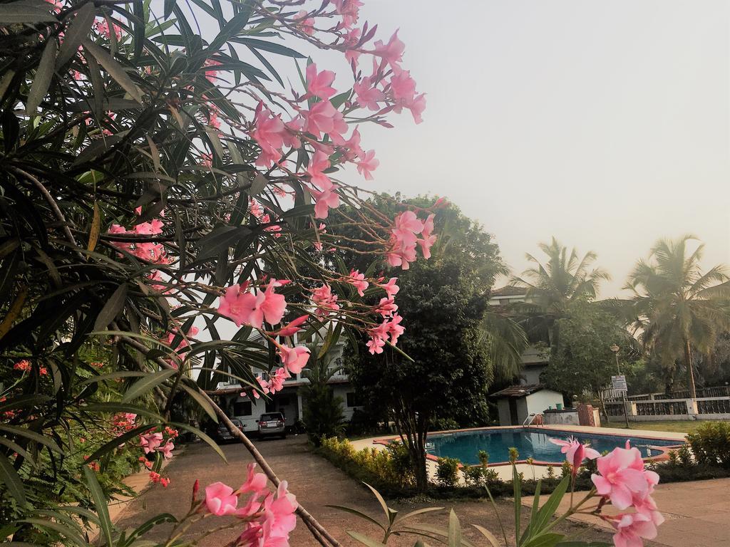 Gr - Duplex 3bhk With Pool I Baga 5 Mins Villa Arpora